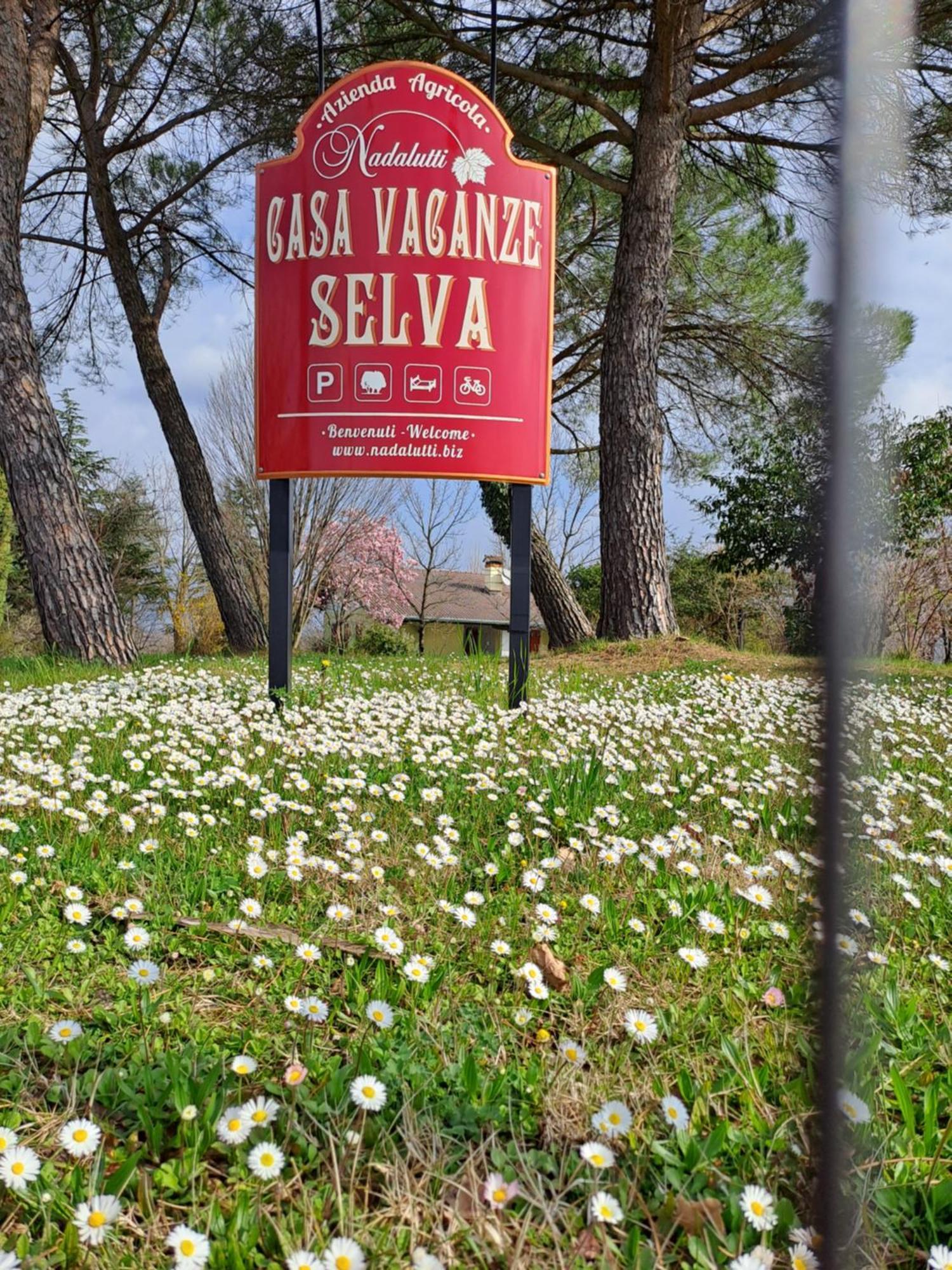 Casa Vacanze Selva Premariacco Exteriér fotografie