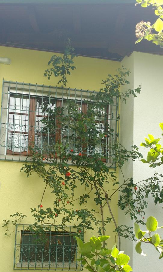 Casa Vacanze Selva Premariacco Exteriér fotografie