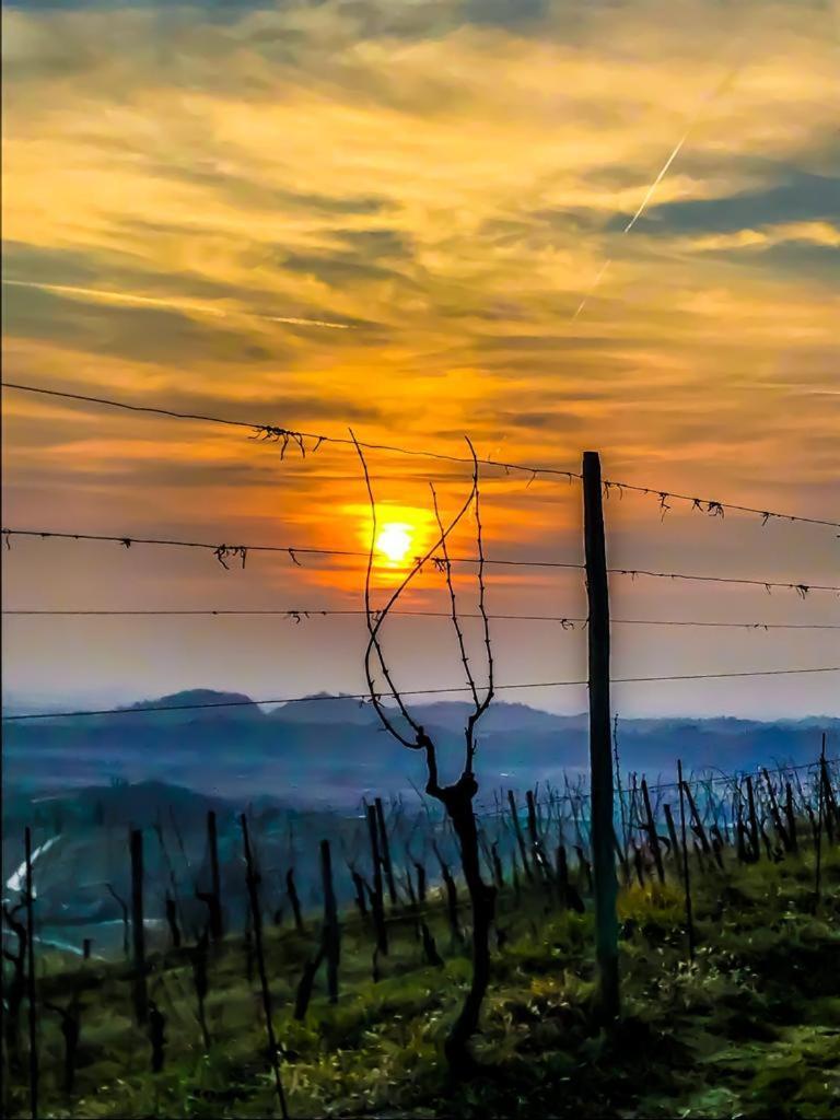 Casa Vacanze Selva Premariacco Exteriér fotografie
